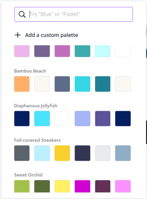 Discover brand palettes on Canva easily