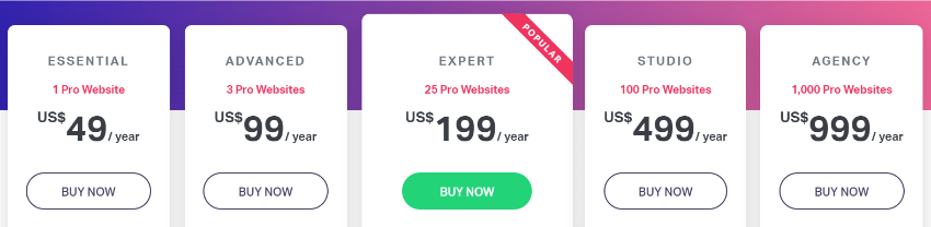Elementor Pricing Table Screenshot 2021